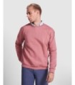 Sudadera Roly Clásica 1070 Unisex